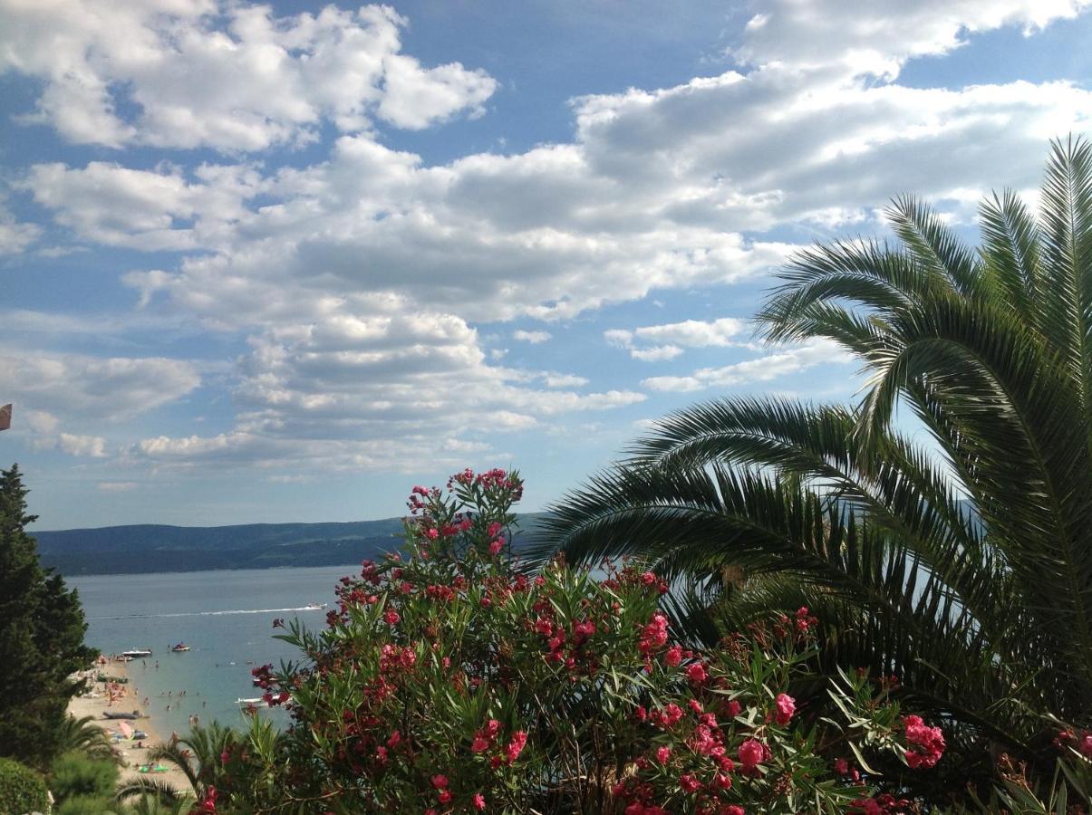 Beach Penthouse Diamond Омиш Номер фото